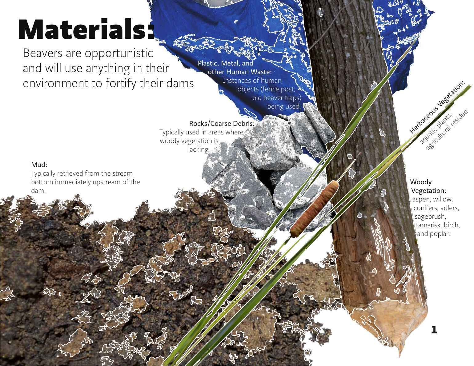 Booklet page: a collage of dam materials, including mud, rocks, reeds, a gnawed log and a piece of blue plastic.
